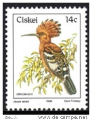 Ciskei - 1981 Birds 14c Hoopoe MNH** - Ciskei