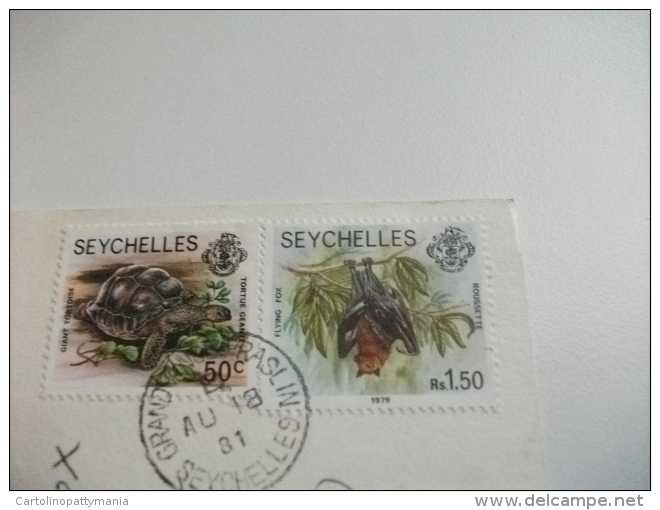 STORIA POSTALE FRANCOBOLLO COMMEMORATIVO Tartaruga Pipistrello  Seychelles Intendance Mahe - Seychelles