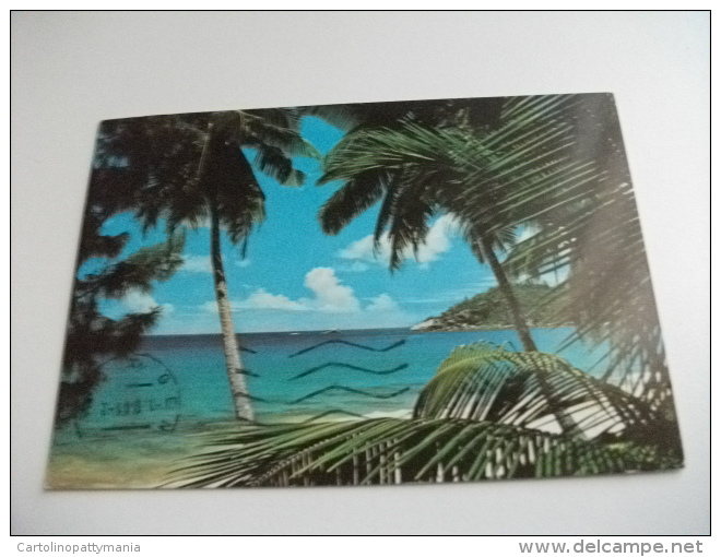 STORIA POSTALE FRANCOBOLLO COMMEMORATIVO Tartaruga Pipistrello  Seychelles Intendance Mahe - Seychellen