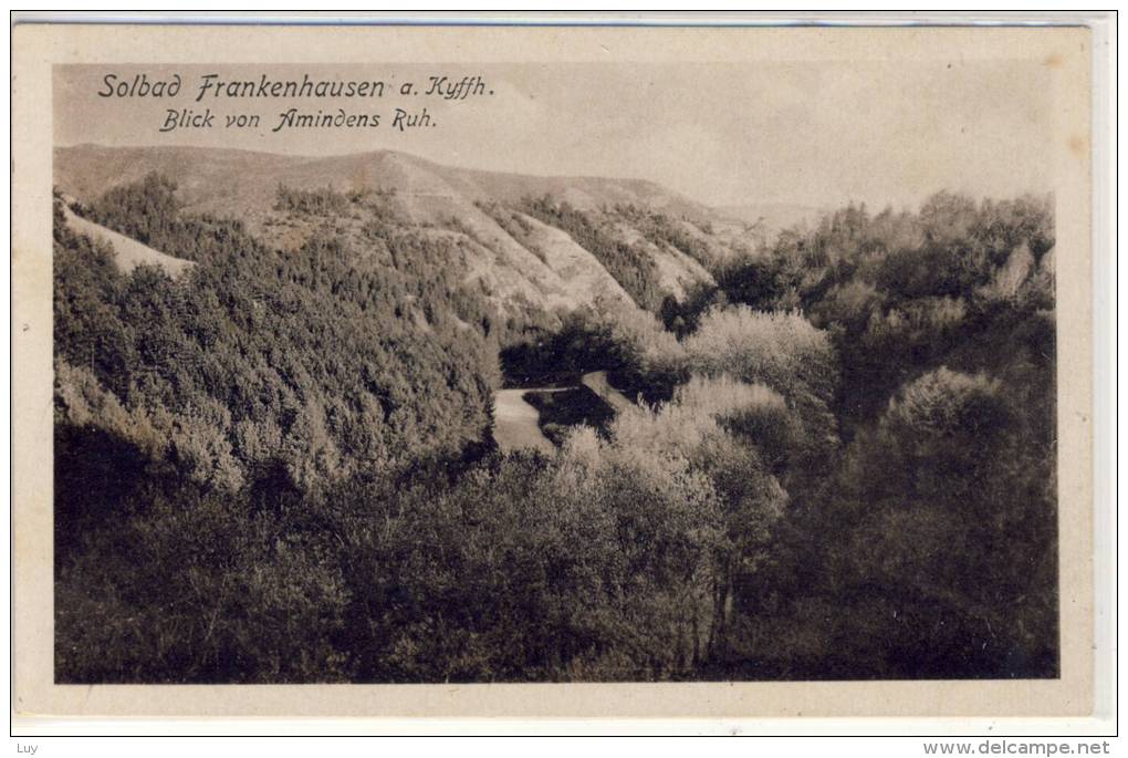 Frankenhausen - Solbad - Blick  Von  Amindens  Ruh - 1919 - Bad Frankenhausen