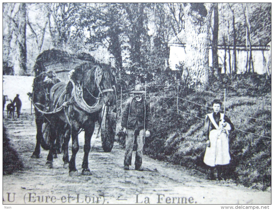 28 - AUNEAU - LA FERME - BELLE CARTE - - Auneau