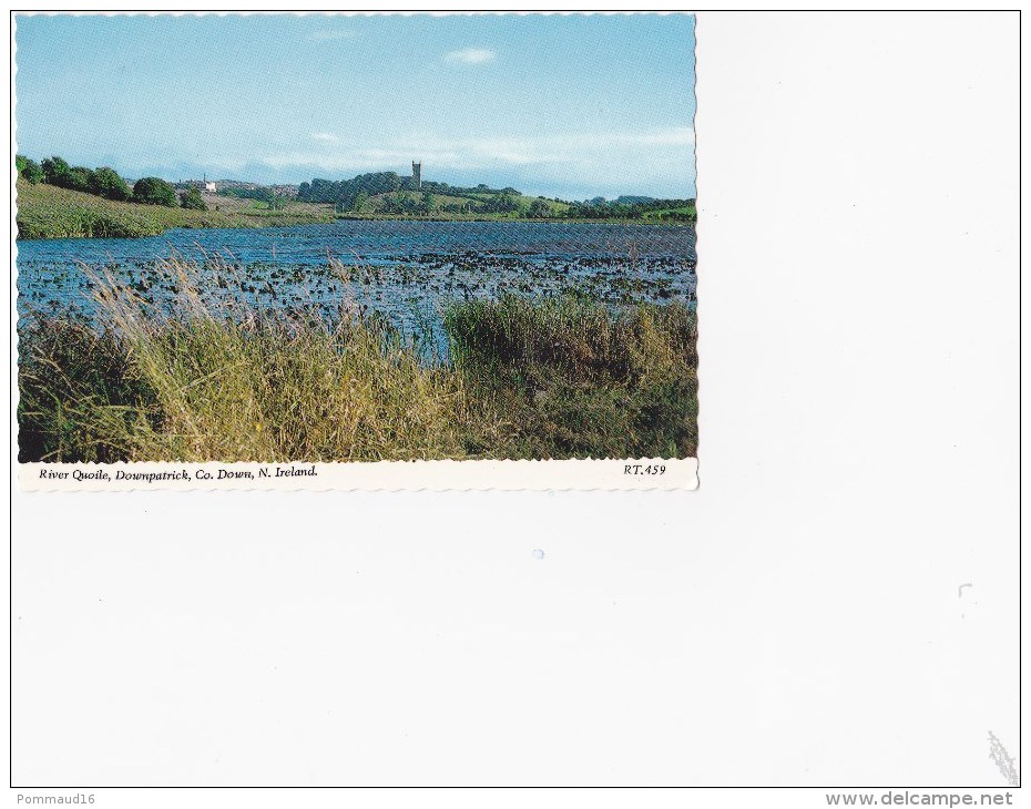 CPM River Quoile, Downpatrick; CO. Down, N. Ireland - Autres & Non Classés