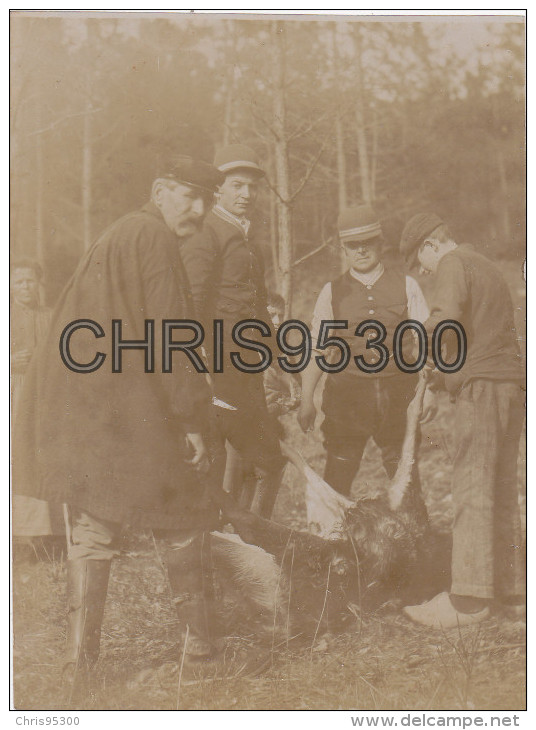 5 PHOTOS ANCIENNES - CHASSE - CHIENS - CHASSEURS - Autres & Non Classés