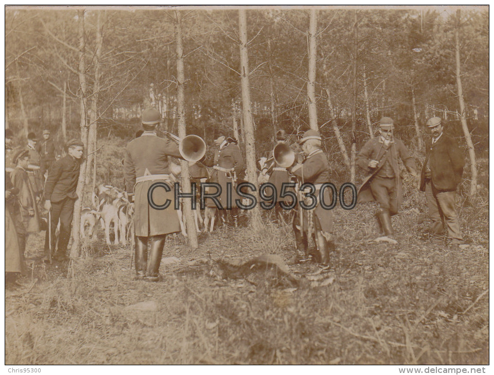 5 PHOTOS ANCIENNES - CHASSE - CHIENS - CHASSEURS - Autres & Non Classés