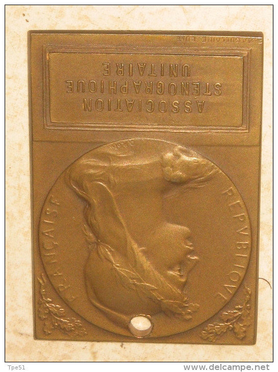 Plaque En Bronze Dans Son étui Association Sténographique Unitaire 1908-1914 République Française - France