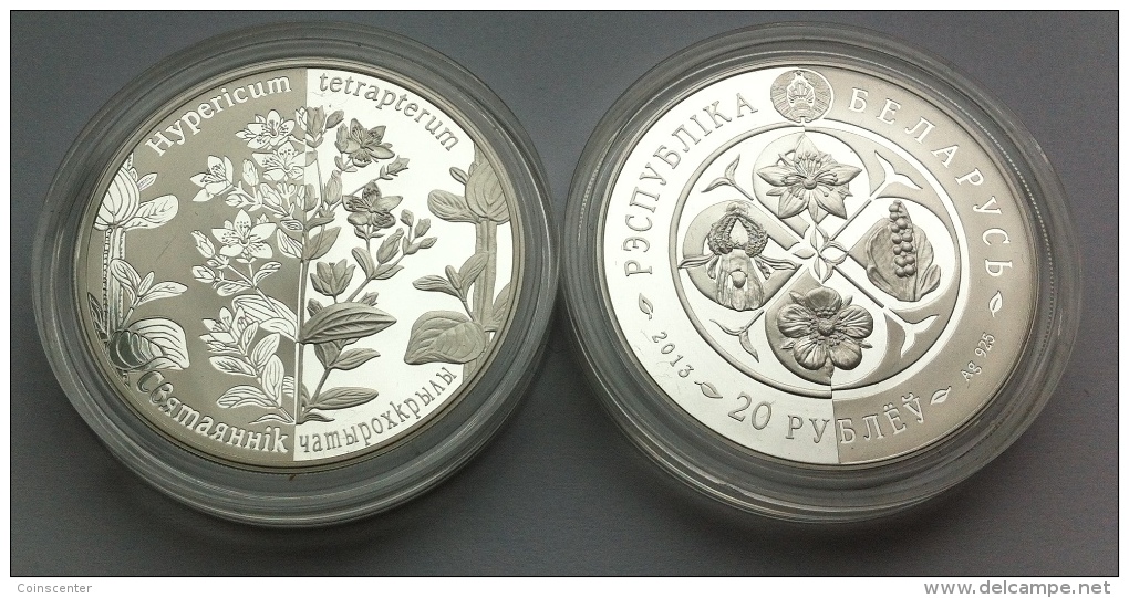 Belarus 20 Roubles 2013 "Square-stemmed St. John’s-wort" Silver PROOF - Wit-Rusland