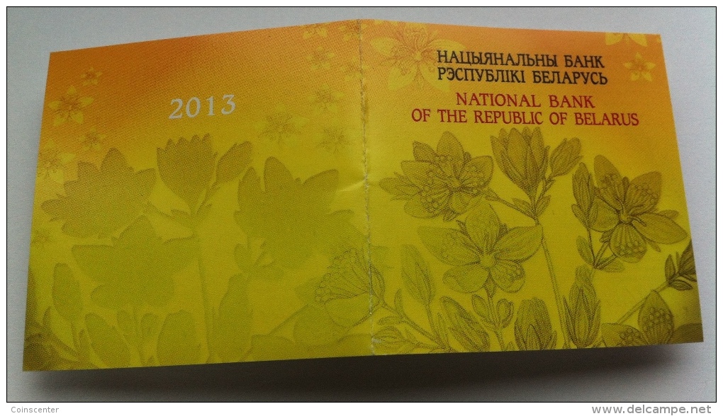 Belarus 20 Roubles 2013 "Square-stemmed St. John’s-wort" Silver PROOF - Belarús