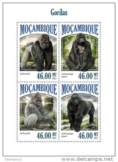 Mozambique. 2013 Gorillas. (514a) - Gorilla's