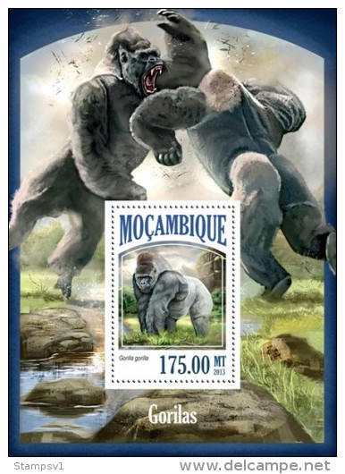 Mozambique. 2013 Gorillas. (514b) - Gorilles