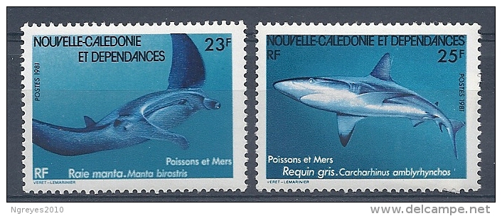 140012452  N.  CALEDONIA  YVERT   Nº  443/4  **/MNH - Nuevos