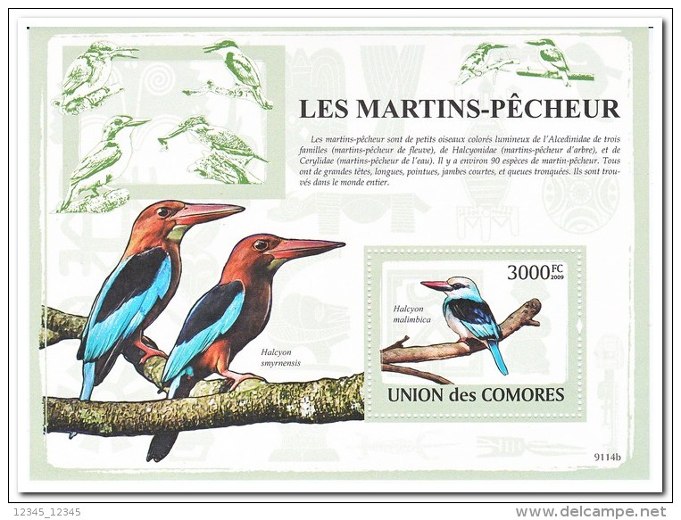 Comoren 2009 Postfris MNH, Birds - Comoren (1975-...)