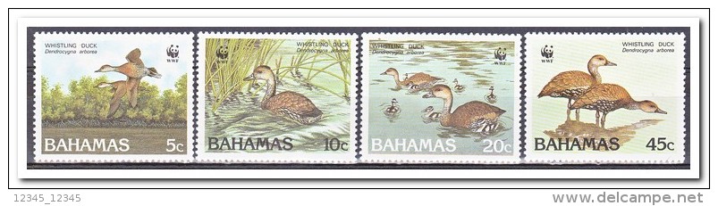 Bahamas Postfris MNH, WWF Ducks - Bahama's (1973-...)