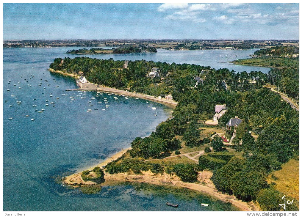 56 - Golfe Du Morbihan, La Pointe D´Arradon - CPSM - Arradon