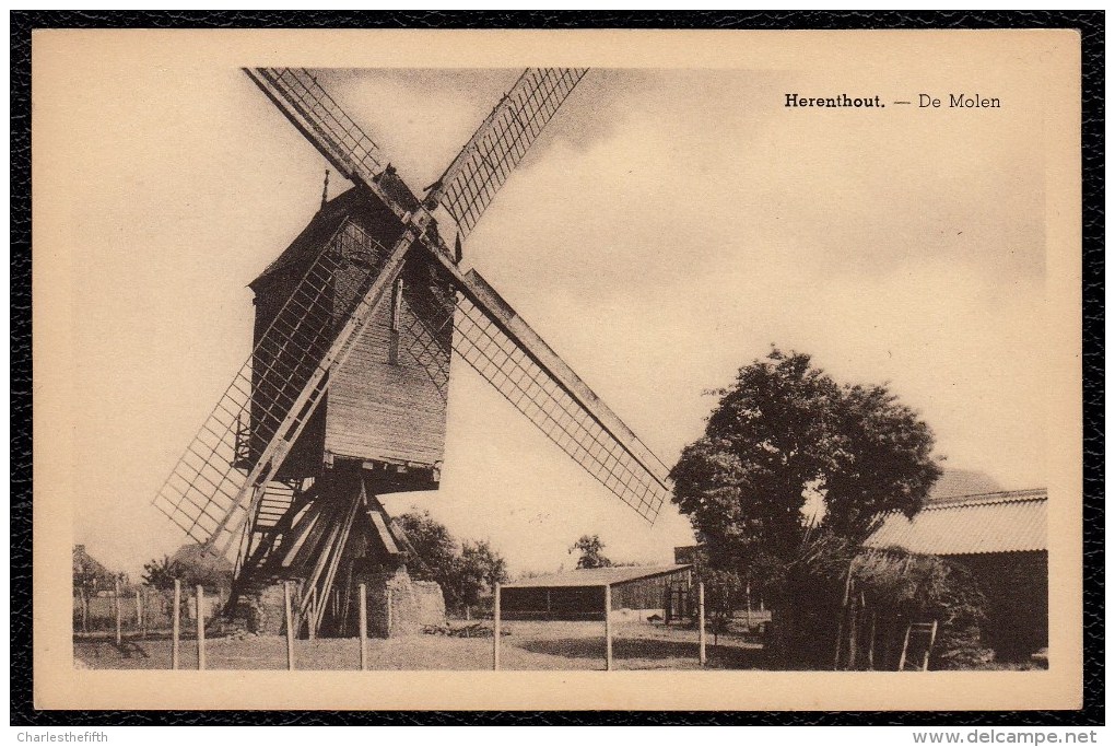 Herenthout - De Molen - édit. Verelst - Moulin - Herenthout