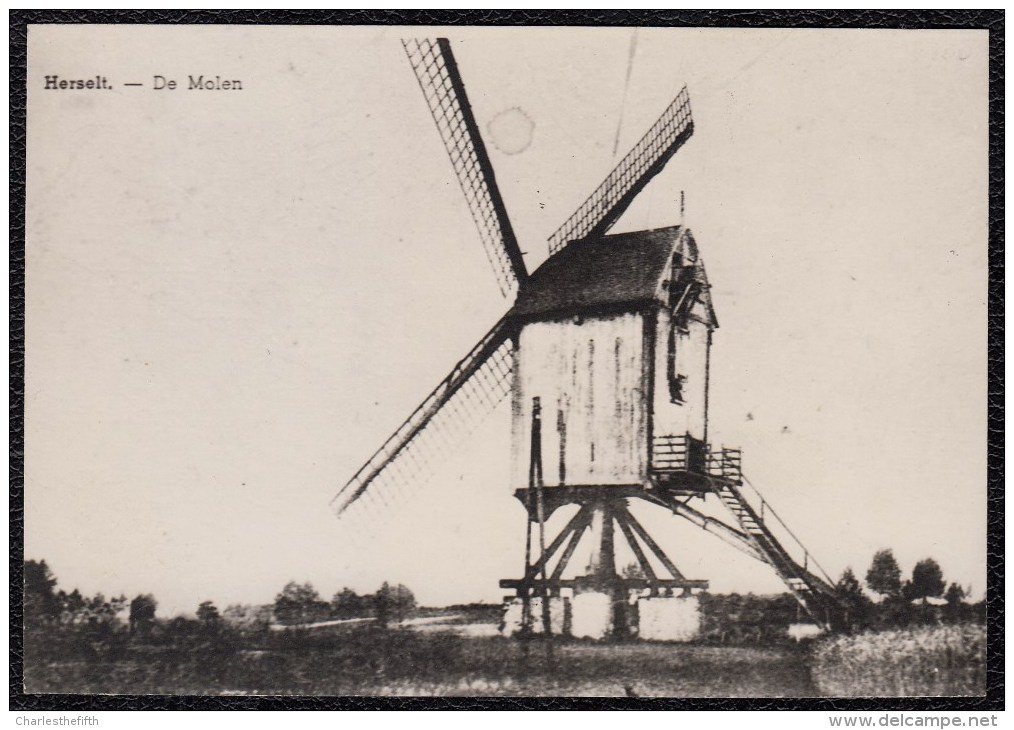 ECHTE OUDE FOTO VAN ZELDZAME MOLENKAART * HERSELT - HERSSELT - MOLEN* MOLEN - Herselt