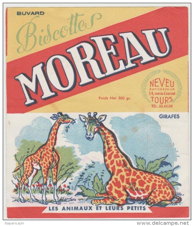 Vieux  Papiers : Buvard :  TOURS De  MOREAU  :Girafe - Tiere