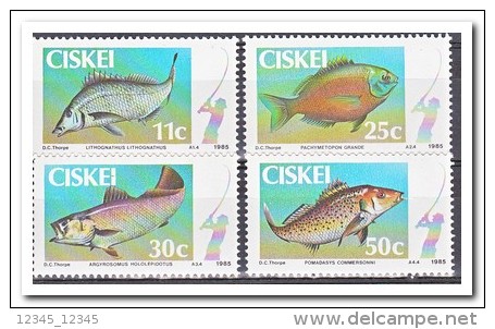 Ciskei 1985 Postfris MNH, Fish - Ciskei