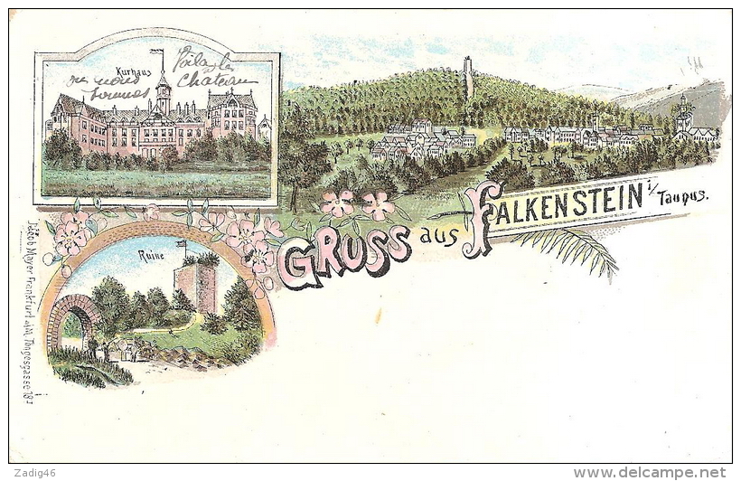 GRUSS AUS FALKENSTEIN - KURHAUS - RUINE - Falkenstein (Vogtland)