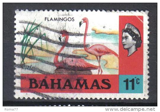 W189 - BAHAMAS , Yvert N. 311  USATO - 1963-1973 Interne Autonomie