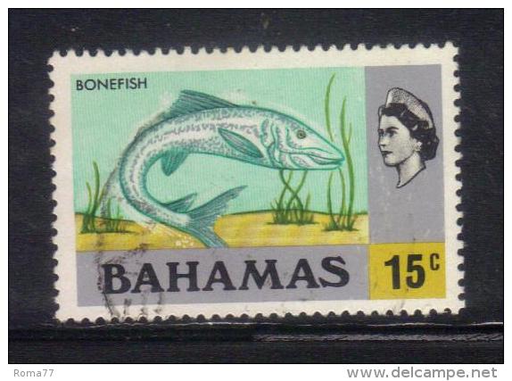 W190 - BAHAMAS , Yvert N. 313  USATO . Bonefish - 1963-1973 Interne Autonomie