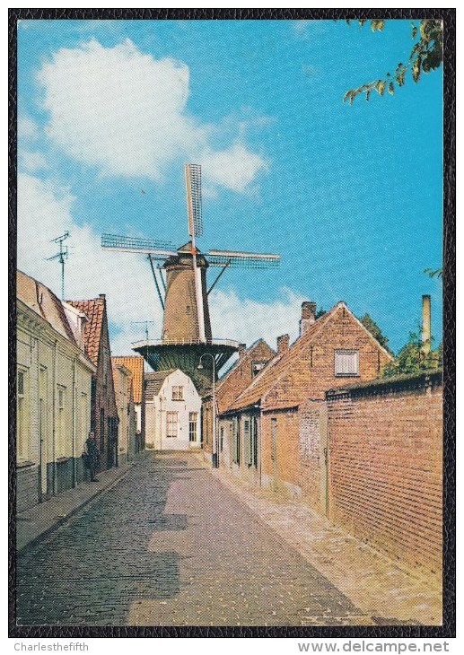 HULST STADSMOLEN - MOLEN - MOULIN - Hulst