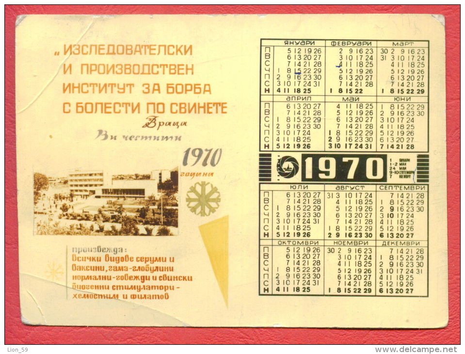 K1669 / 1970  Vratsa - INSTITUTE FOR ANTI-disease Virus PIG  Calendar Calendrier Kalender - Bulgaria Bulgarie Bulgarien - Petit Format : 1961-70