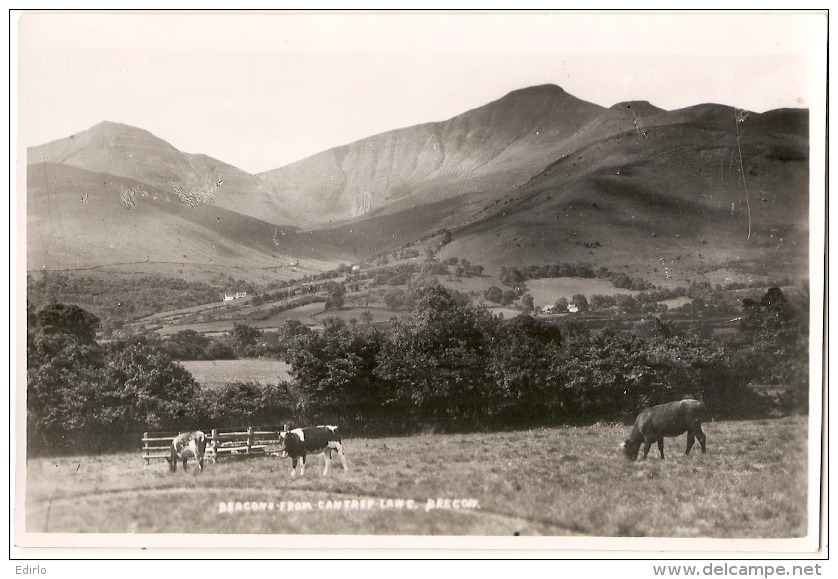 BRECON  - Unused Photo Card - Breconshire