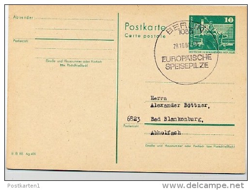 SPEISEPILZE Berlin 1980 Auf  DDR  Postkarte P 79 - Pilze