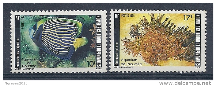 140012531  N. CALEDONIA  YVERT  Nº  512/3  **/MNH - Nuevos