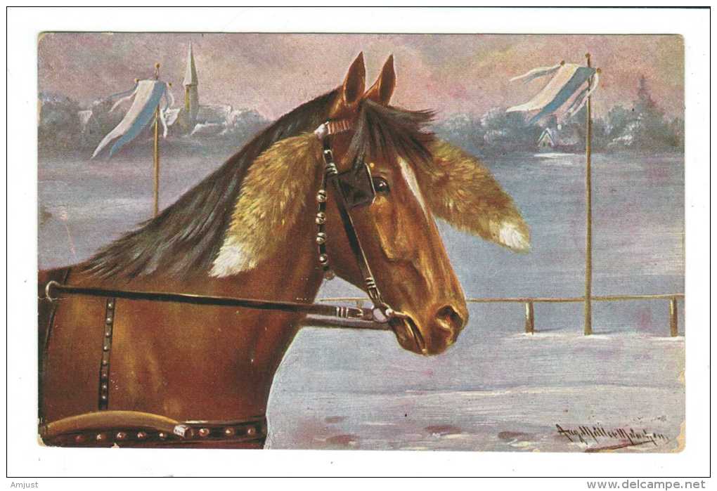 Animaux // Carte Fantaisie // Chevaux - Chevaux