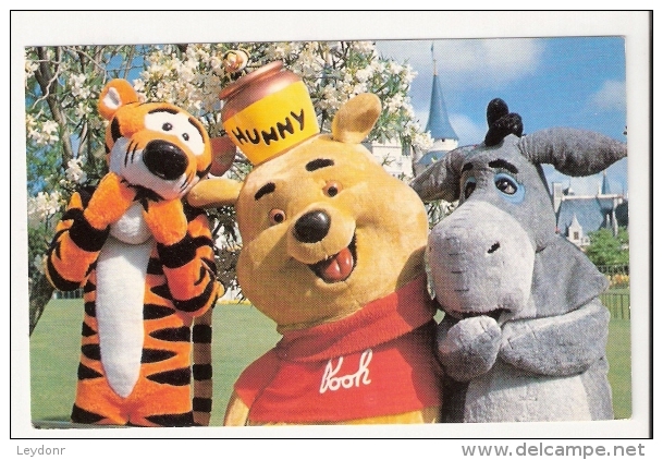 Pooh, Tigger And Eeyour - Disneyworld