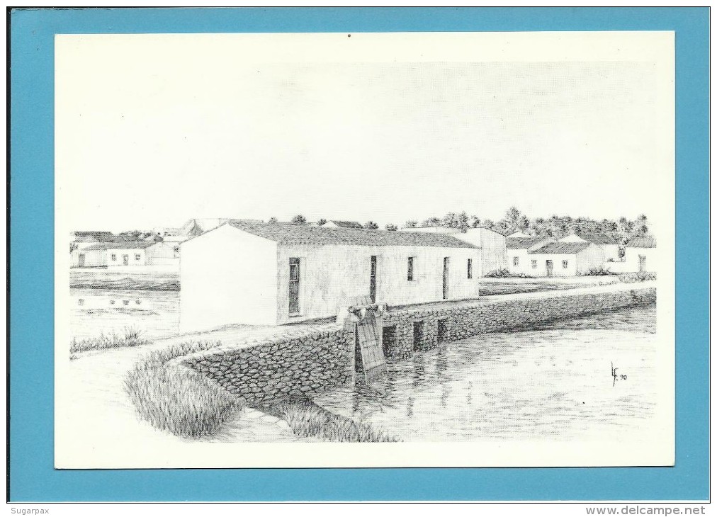 O MOINHO De MARÉ Do JOSÉ GUERREIRO - Watermill - RIA FORMOSA - ALGARVE - Portugal - 2 SCANS - Moulins à Eau