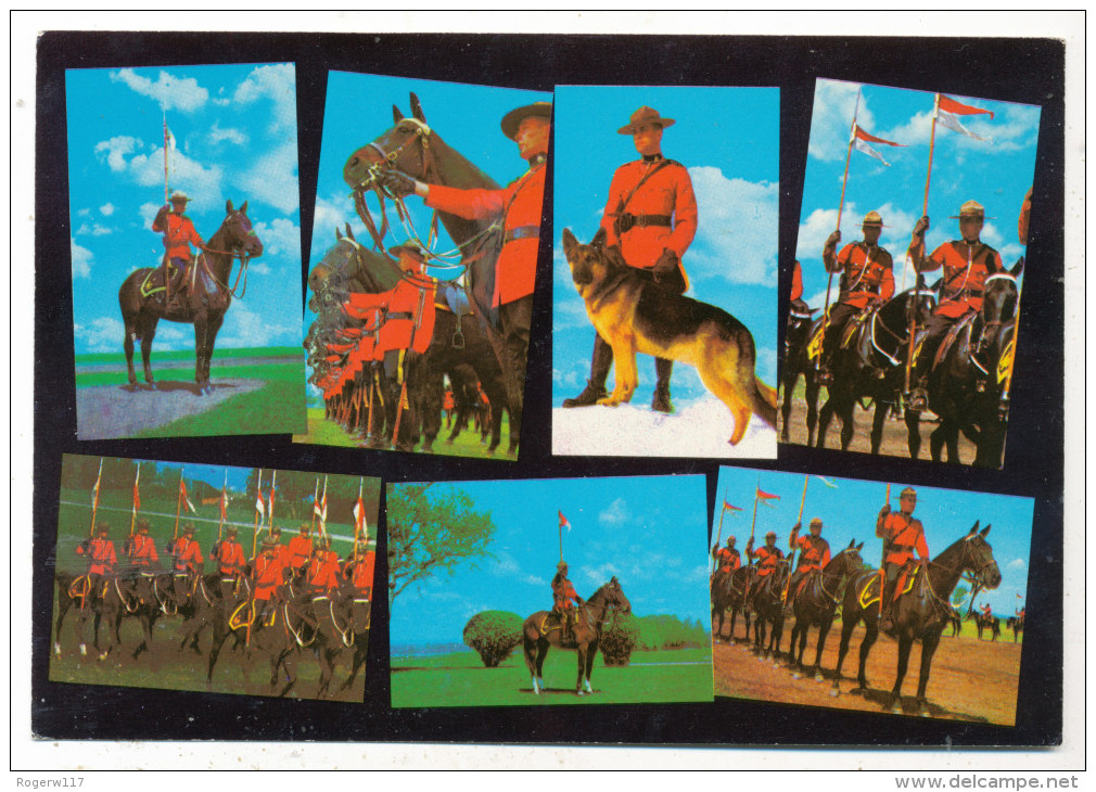 Royal Canadian Mounted Police - Moderne Ansichtskarten