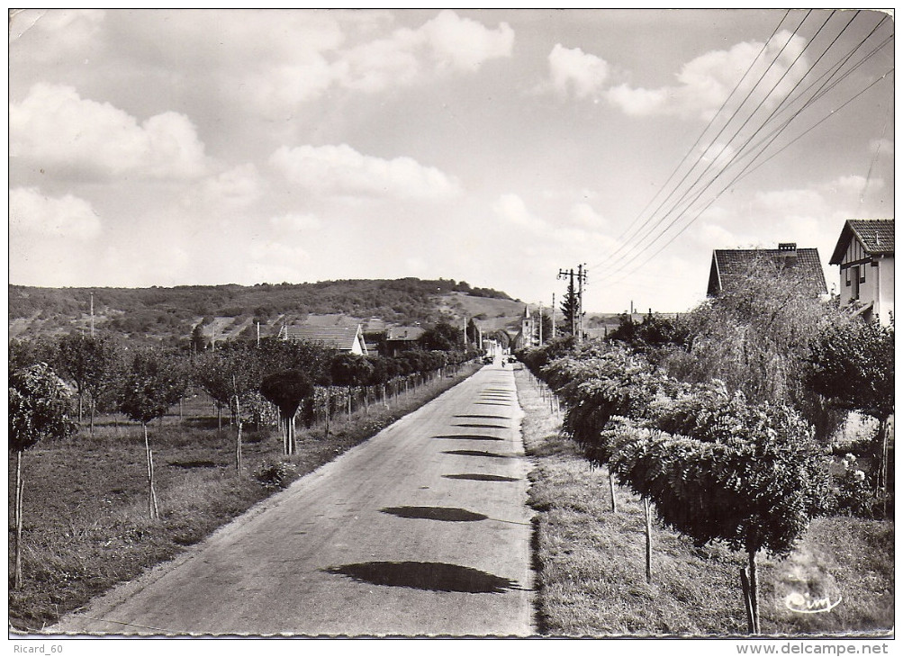 Cpsm Véron, Avenue De La Gare - Veron