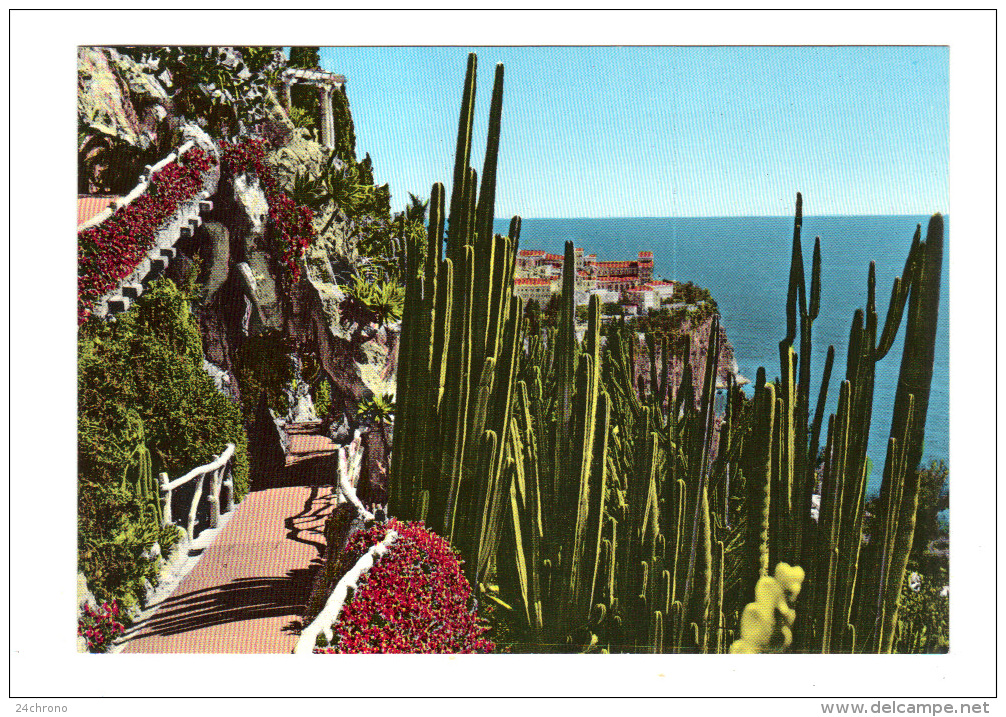 Monaco: Jardin Exotique, Cactus, Candelabre Et Agave (14-1769) - Exotische Tuin