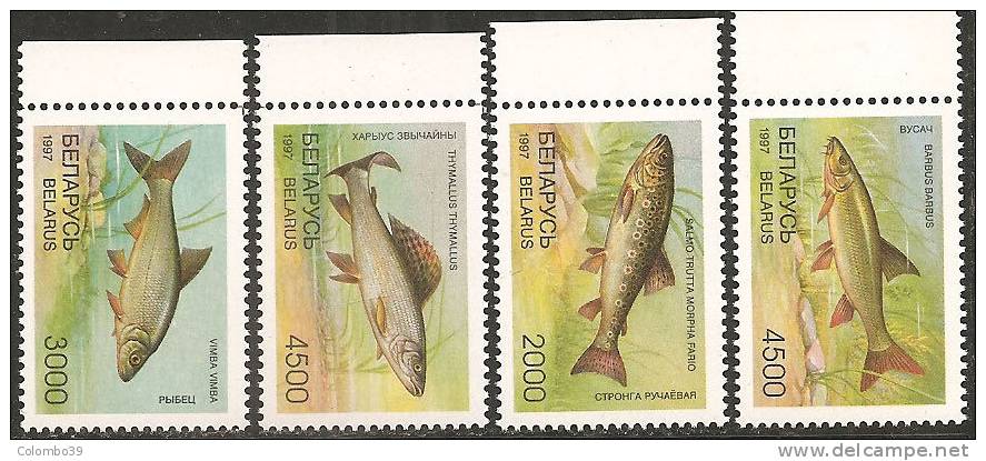 Belarus  1997  MNH**  -  Yv. 204/207 FAUNA PESCI - Belarus