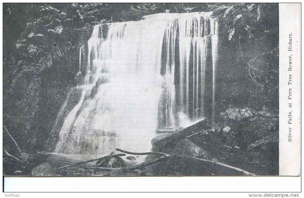 AUSTRALIA - HOBART - SILVER FALLS AT FERN TREE BOWER - Hobart