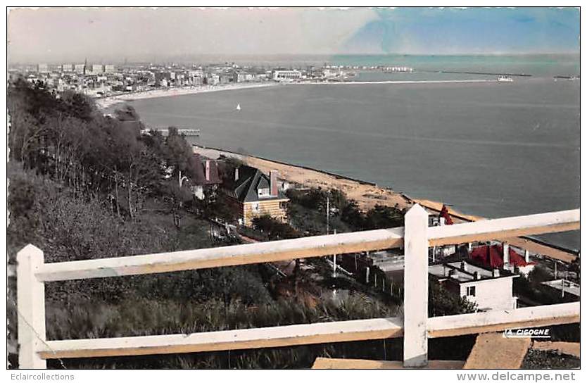Le  Havre   76   Vue Panoramique  Années 1950 /60 - Ohne Zuordnung
