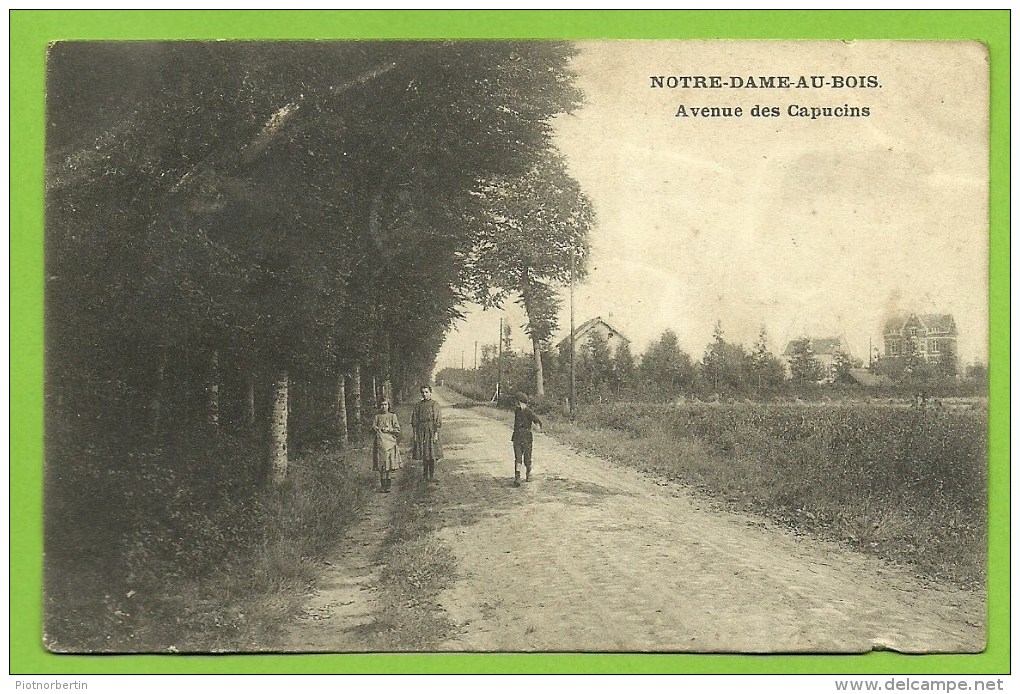 NOTRE-DAME-AU-BOIS  / Avenue Des Capucins - Kapelle-op-den-Bos