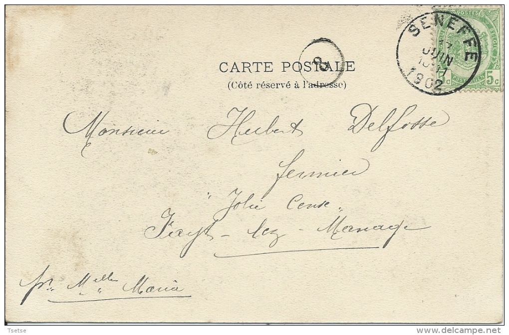 Feluy - La Place … Animée - 1902 ( Voir Verso ) - Seneffe