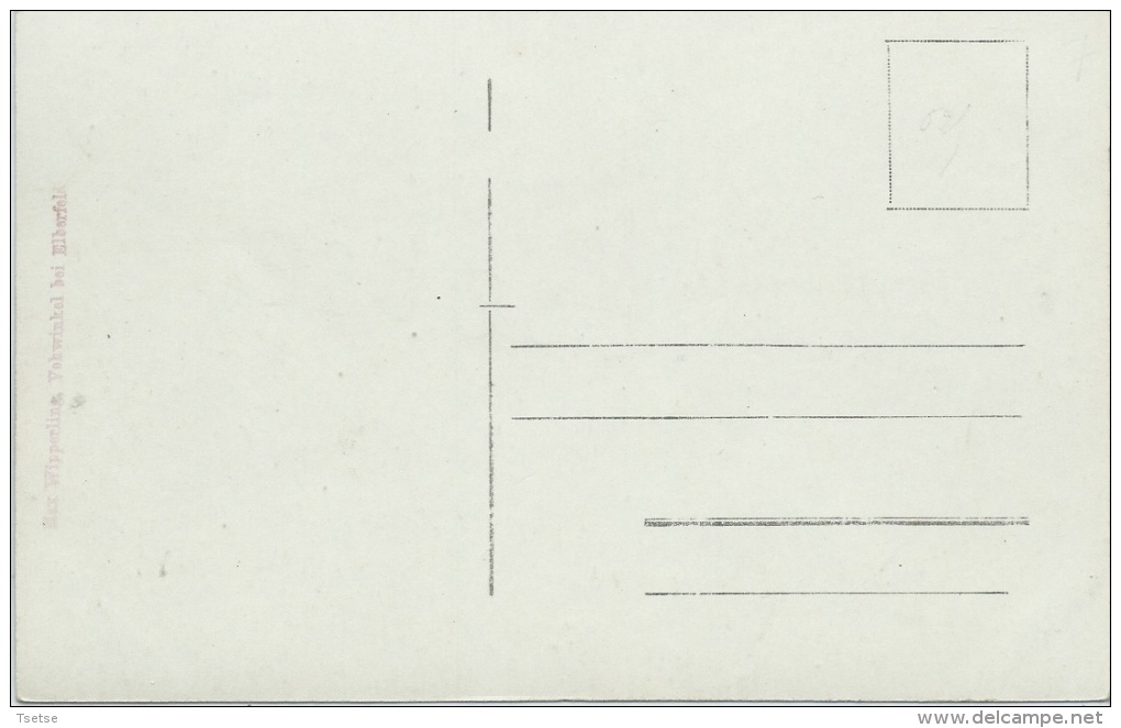 Lier / Lierre - Fort - Duitse Fotokaart 1914 ( Verso Zien ) - Olen