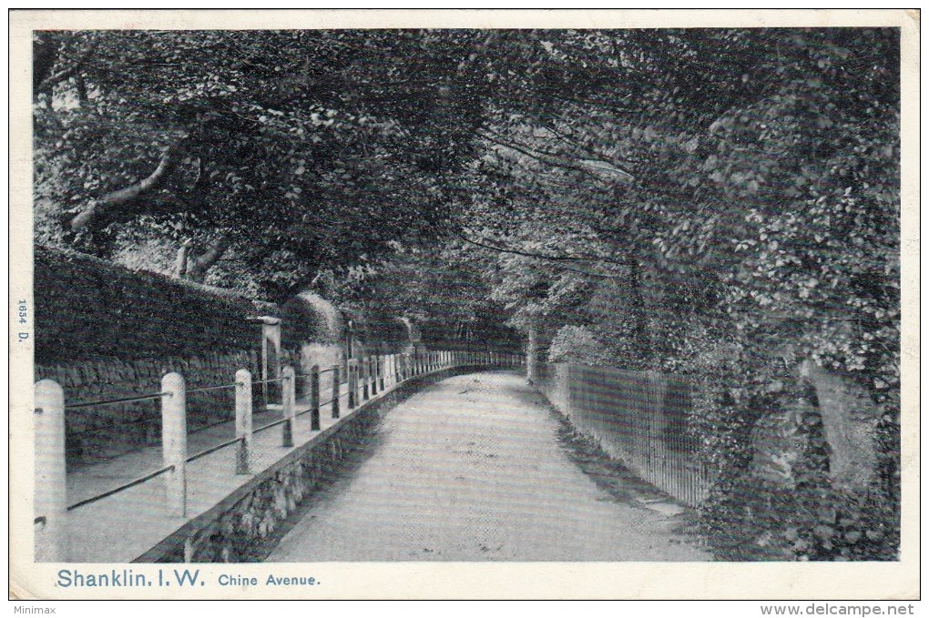 Shanklin I.W. - Chine Avenue - 1905 - Autres & Non Classés