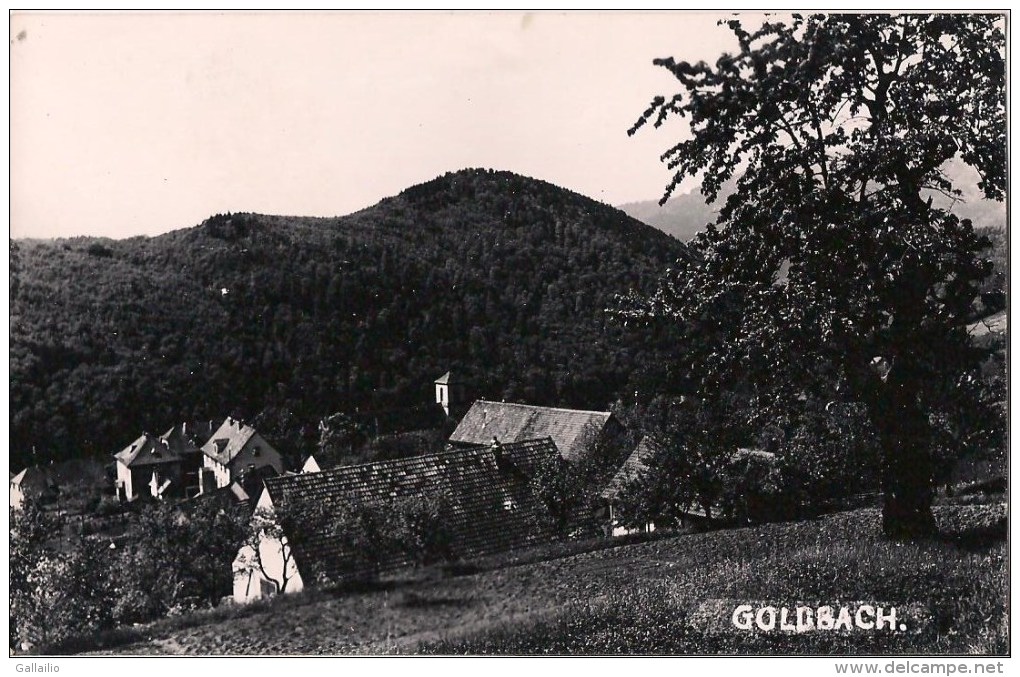 RARE CARTE PHOTO  GOLDBACH  PANORAMA ET VILLAGE - Other & Unclassified