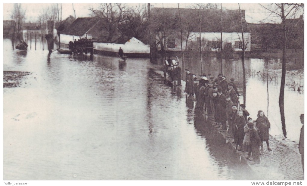 HAMME - Départ Pour Drij Goten - Inondations De Mars 1906 - Overstroomingen  // - Hamme