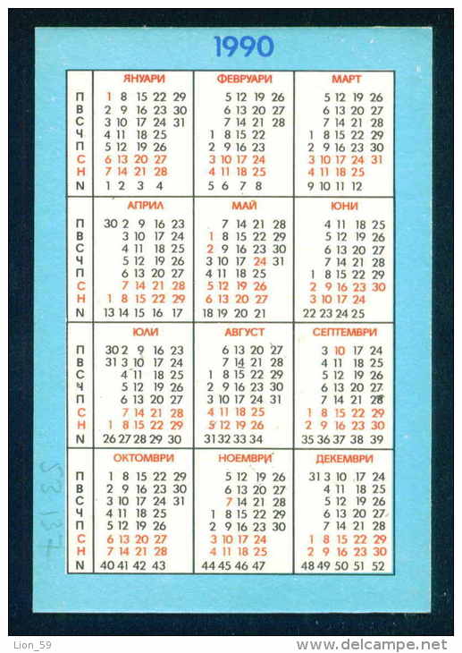 53137A / 1990 SPORT Tennis - Budgerigar Wällesittich Perruche Ondulée  Calendar Calendrier Bulgaria Bulgarie Bulgarien - Grand Format : 1981-90