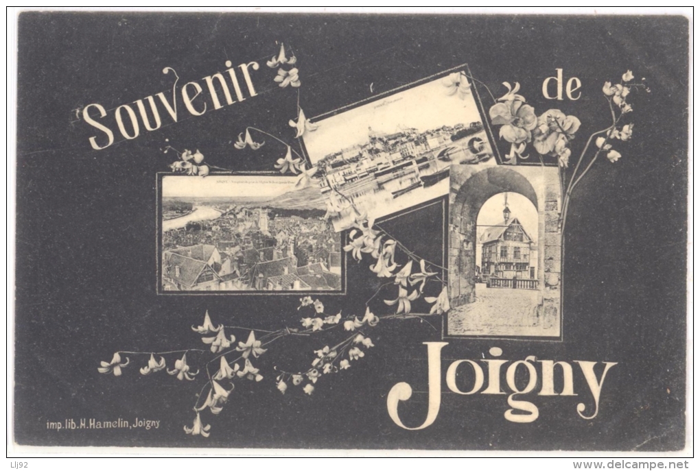 CPA 89 - JOIGNY (Yonne) - Souvenir De Joigny - Multivues - Joigny