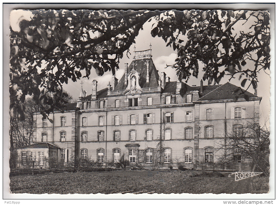 LUNEVILLE 54 - Institution St Pierre Fourier : Façade Sur Le Jardin - CPSM Dentelée GF Vue Peu Fréquente Meurthe Moselle - Luneville