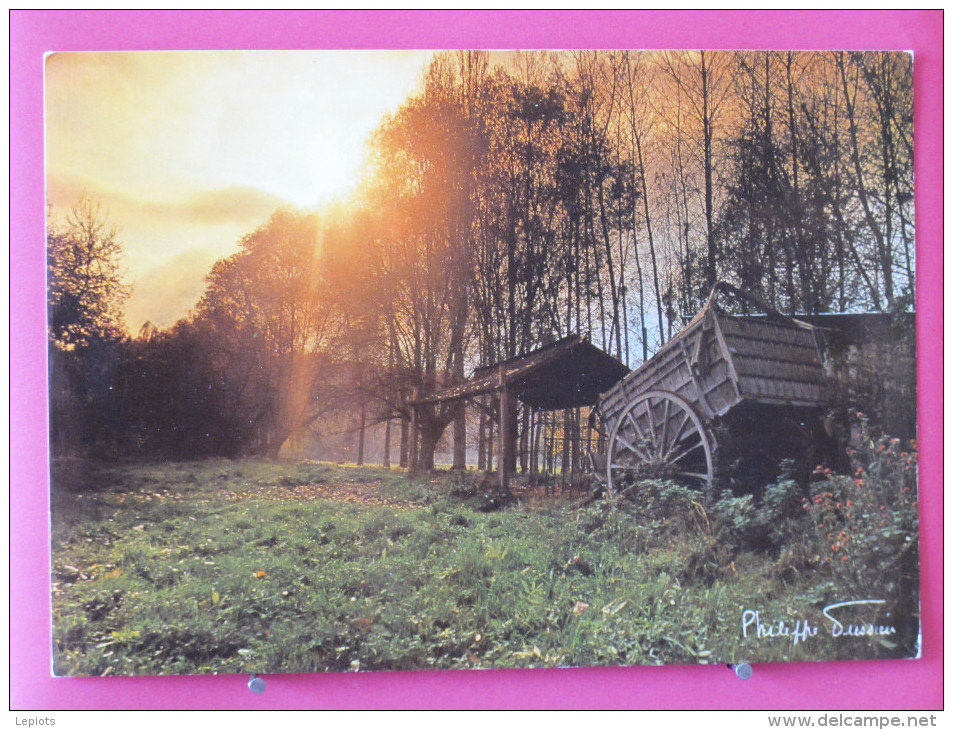 Carte Pas Très Courante - Hommage à Cérès - Moissons - Photo A. Mery - Scans Recto-verso - Cultures