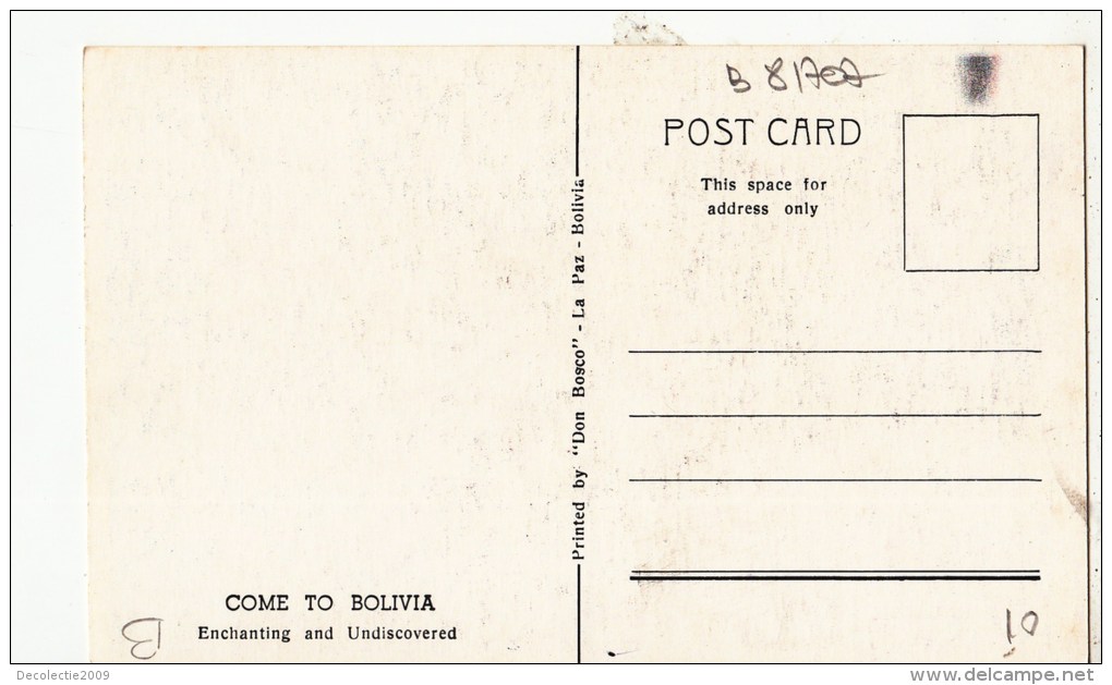 B81707  Llama Enchanting An Undiscovered Come To Bolivia Front/back Image - Bolivië