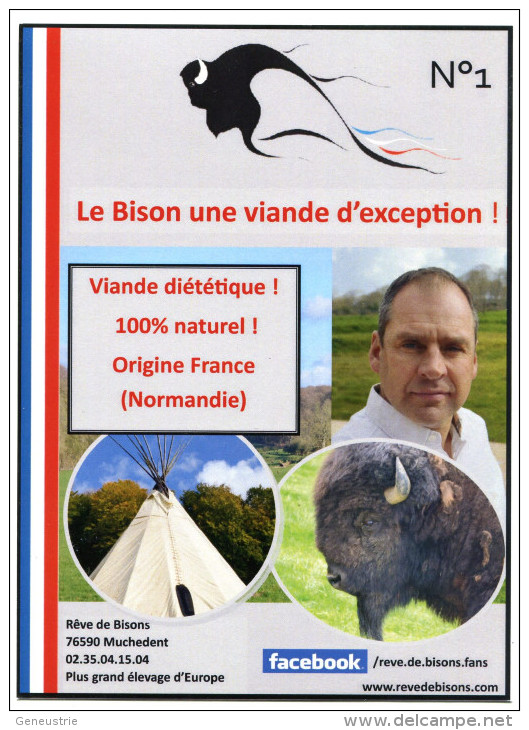 Rack Card Breeding Bisons In France - Normandy - Bison - Agriculture